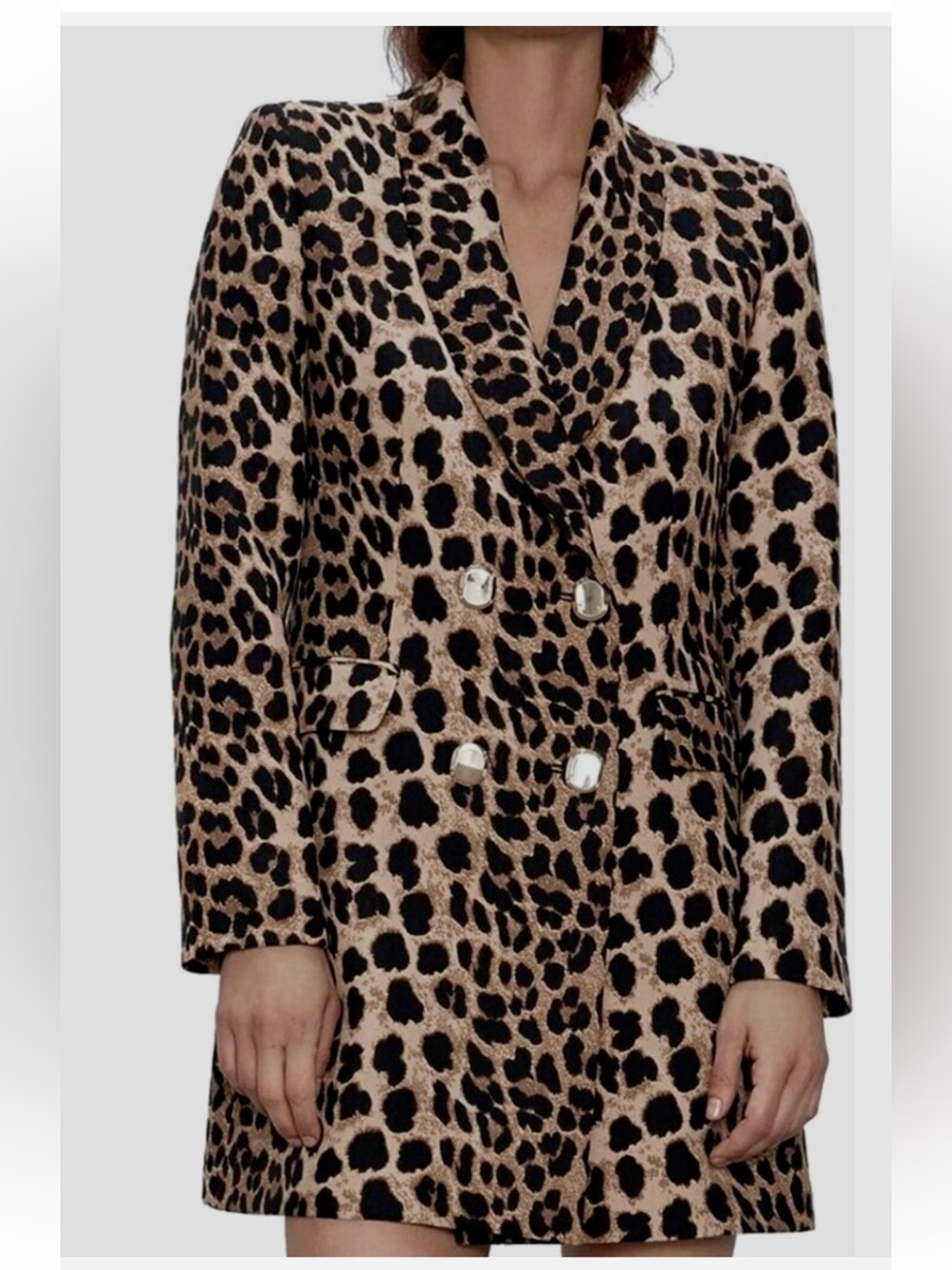 Zara Leopard Print Blazer in Black and Tan